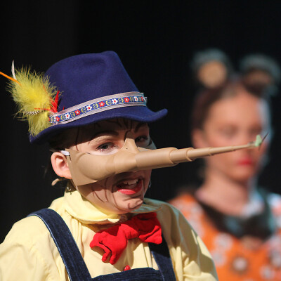 Shrek the Musical Jr. image