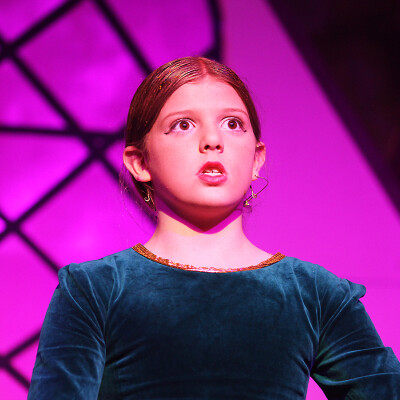 Shrek the Musical Jr. image