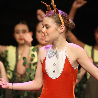 Shrek the Musical Jr. image
