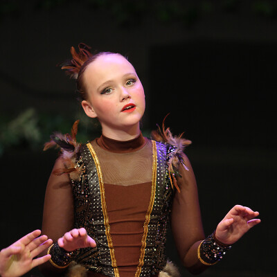 Shrek the Musical Jr. image