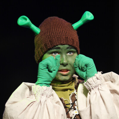 Shrek the Musical Jr. image