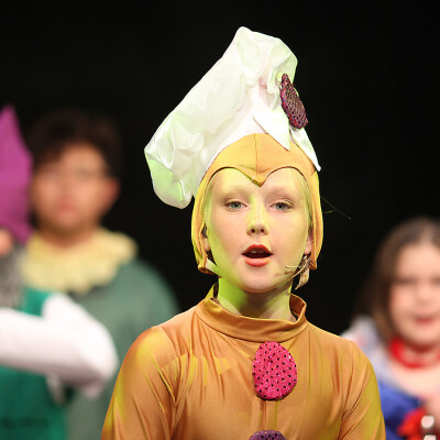 Shrek the Musical Jr. image