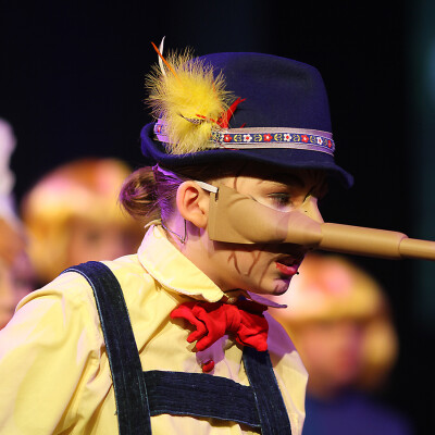 Shrek the Musical Jr. image