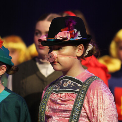 Shrek the Musical Jr. image