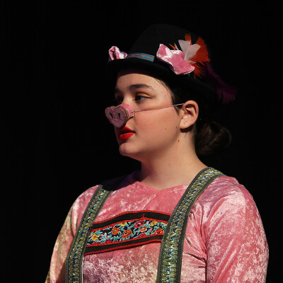 Shrek the Musical Jr. image