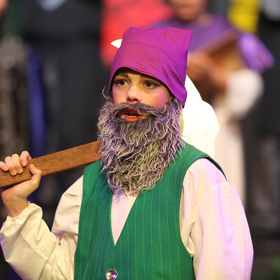 Shrek the Musical Jr. image