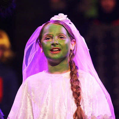 Shrek the Musical Jr. image