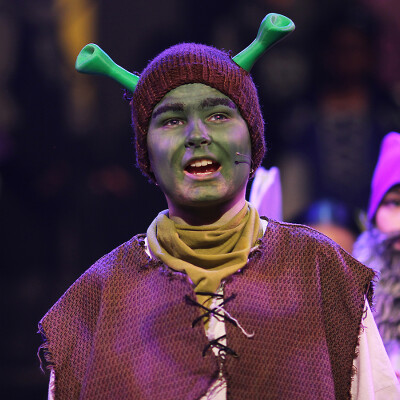 Shrek the Musical Jr. image