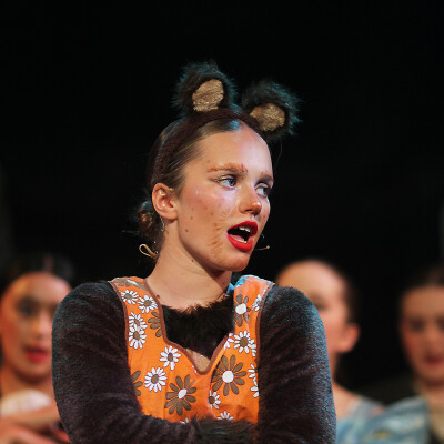 Shrek the Musical Jr. image