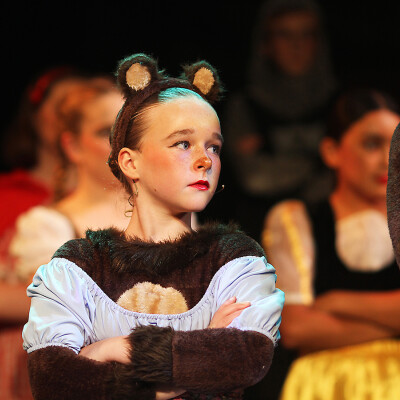 Shrek the Musical Jr. image