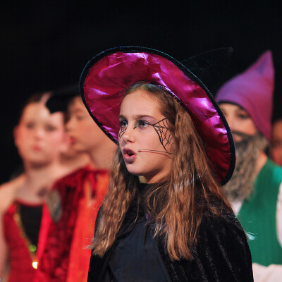 Shrek the Musical Jr. image