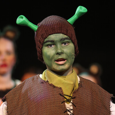 Shrek the Musical Jr. image