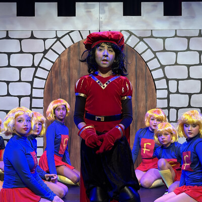 Shrek the Musical Jr. image