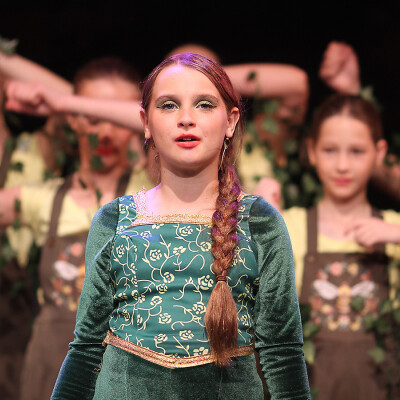 Shrek the Musical Jr. image