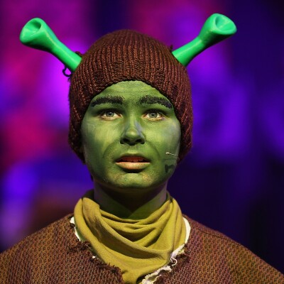 Shrek the Musical Jr. image